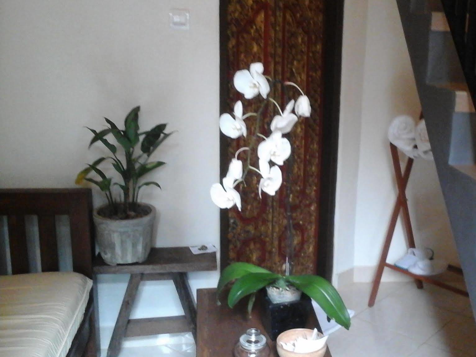 Corner Guest House Ubud Exteriér fotografie